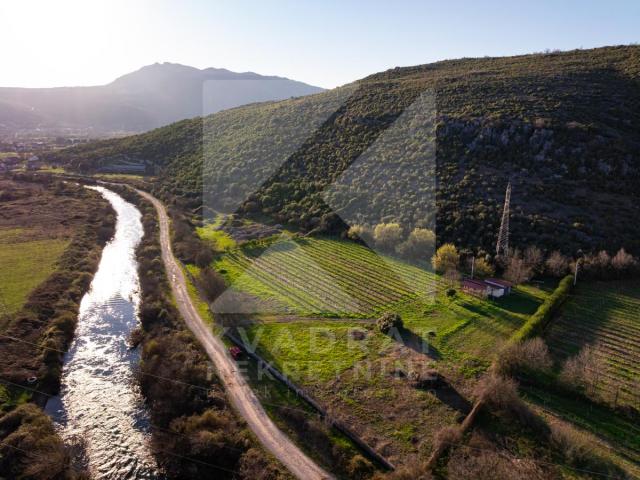 Prodaja, Zemljište, Podgorica, Beri, 13000m2