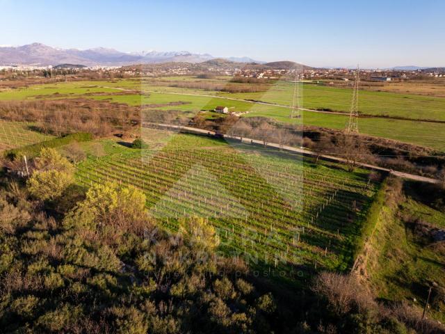 Prodaja, Zemljište, Podgorica, Beri, 13000m2