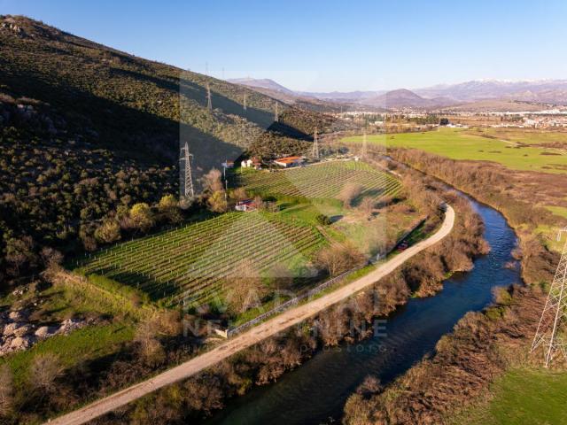 Prodaja, Zemljište, Podgorica, Beri, 13000m2