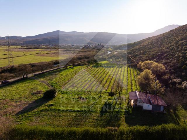 Prodaja, Zemljište, Podgorica, Beri, 13000m2