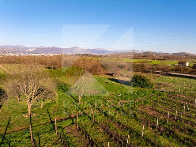 Prodaja, Zemljište, Podgorica, Beri, 13000m2
