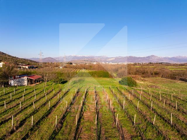 Prodaja, Zemljište, Podgorica, Beri, 13000m2