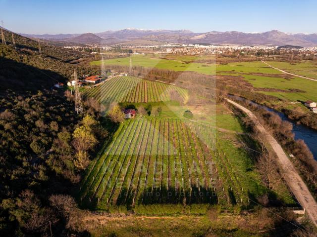 Prodaja, Zemljište, Podgorica, Beri, 13000m2