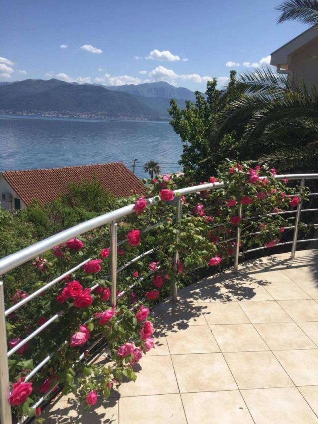Izdavanje, Stan, 92m2 , KRAŠIĆI