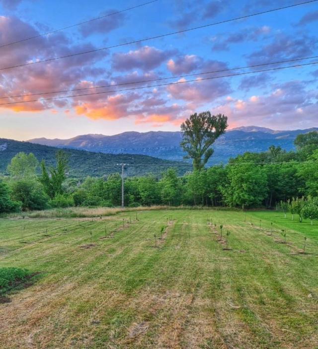 Plac, 4430m2, Grlić, Danilovgrad