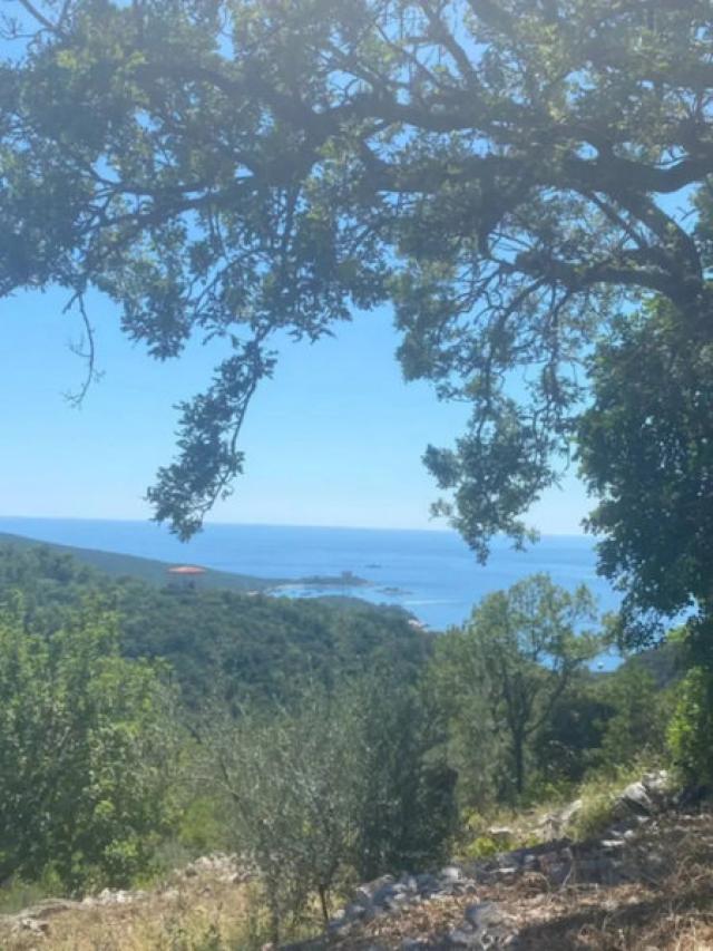 Plac, 1200m2, Luštica, Herceg Novi