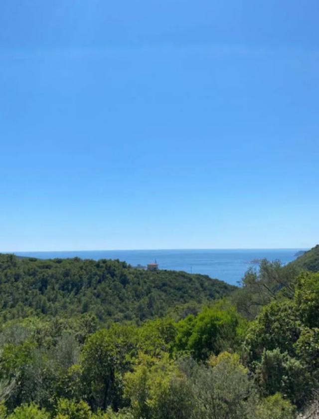Plac, 1200m2, Luštica, Herceg Novi