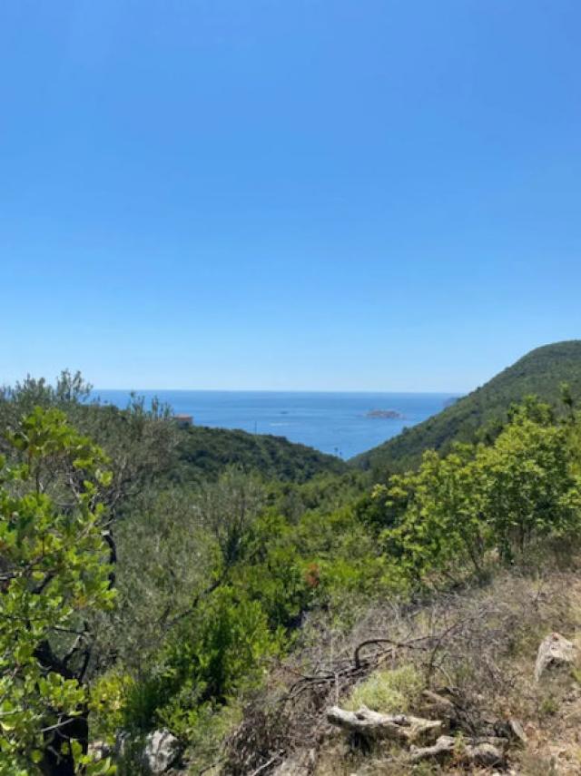 Plac, 1200m2, Luštica, Herceg Novi