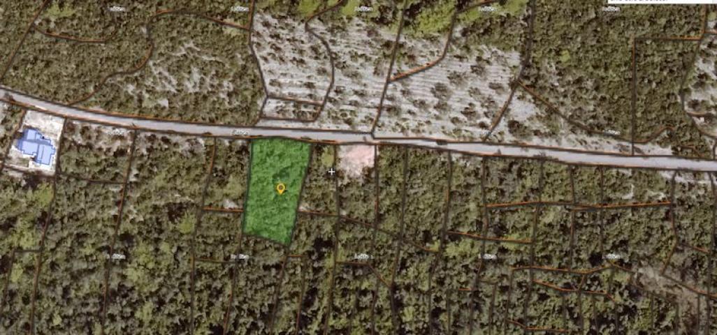 Plac, 1200m2, Luštica, Herceg Novi