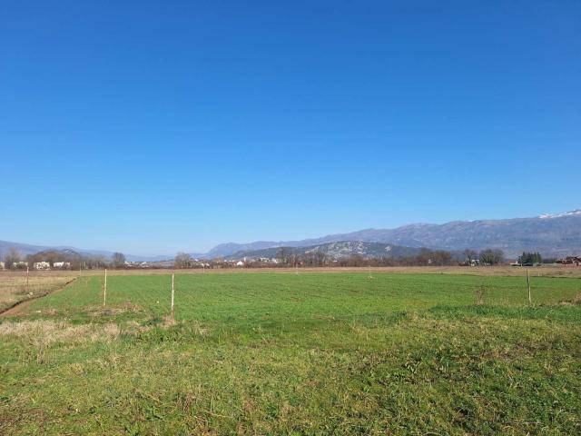 Plac, 2000m2, Ćurilac, Danilovgrad