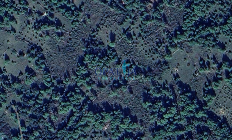 Poljoprivredno zemljište 2.121 m² – Vir