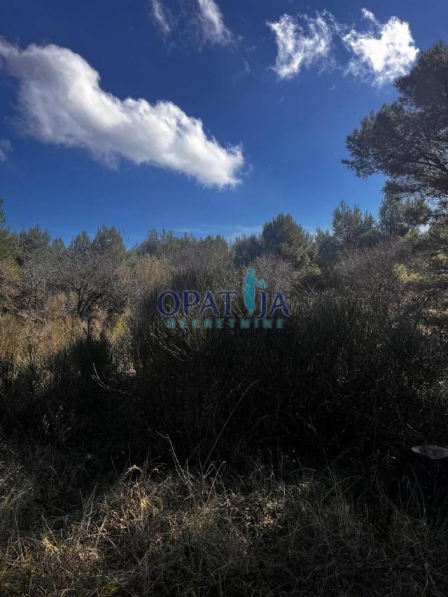 Poljoprivredno zemljište 2.121 m² – Vir