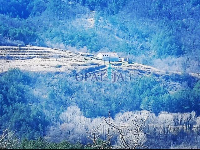 Prodaje se selo u centru Istre: kuća sa gospodarskim zgradama, vinogradima, pašnjacima i šumom