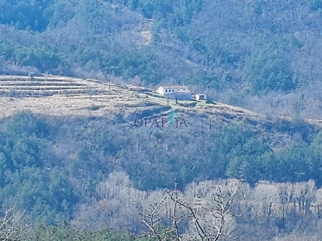 Prodaje se selo u centru Istre: kuća sa gospodarskim zgradama, vinogradima, pašnjacima i šumom