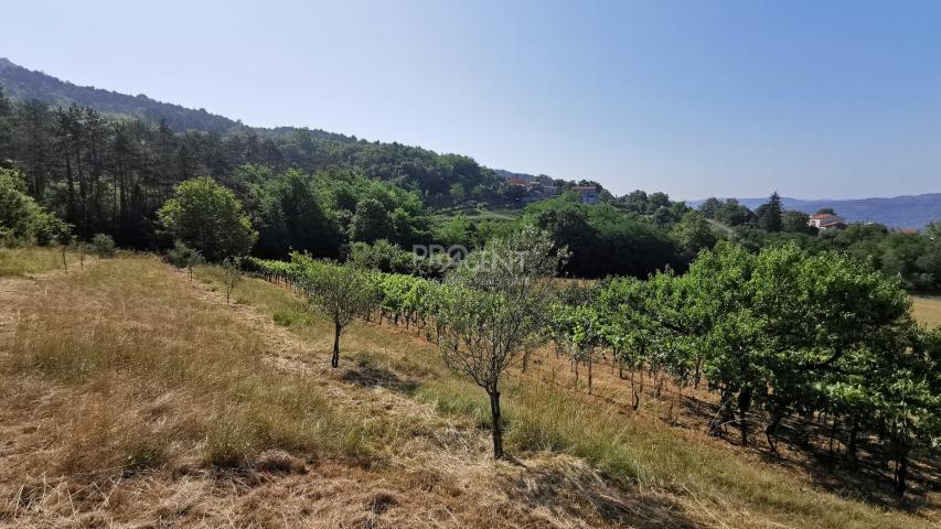 ISTRA, BUZET, KAMENA KUĆA I 2,5 ha ZEMLJIŠTA, PRODAJE SE