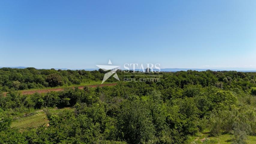 Istra, Ližnjan - građevinski teren stambene namjene 9463 m2