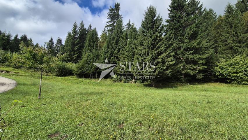 Gorski Kotar, Tršće – Baugrundstück 1.000 m² mit Hauptprojekt