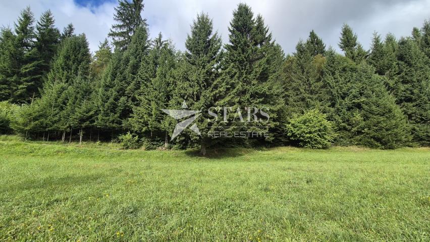 Gorski Kotar, Tršće – Baugrundstück 1.000 m² mit Hauptprojekt