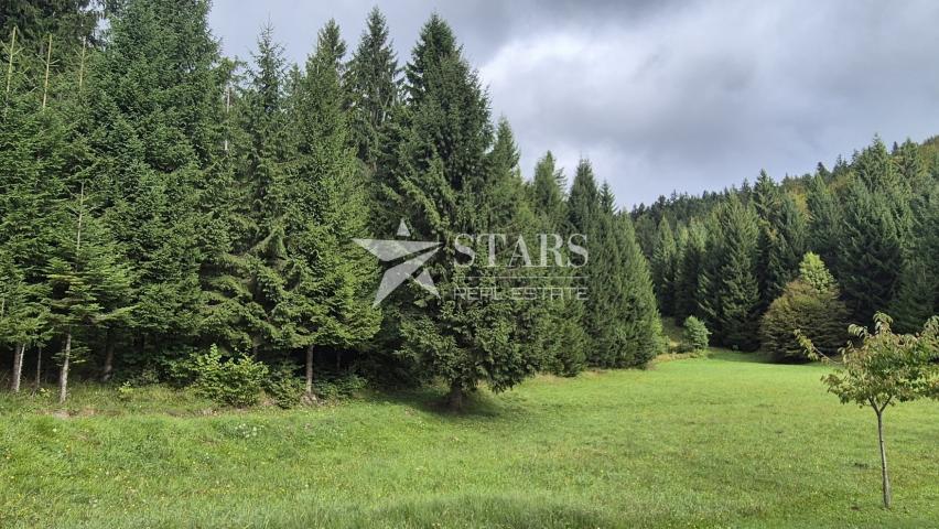Gorski Kotar, Tršće – Baugrundstück 1.000 m² mit Hauptprojekt