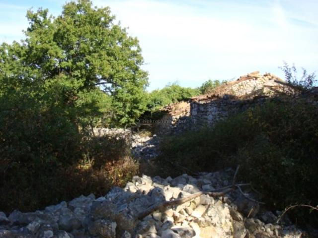 Cres, Beli - Kuća, 567 M2