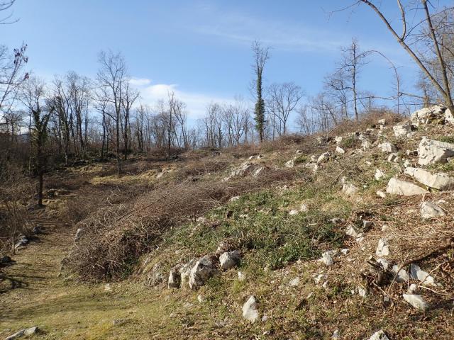 RIJEKA,MUČIĆI,BUILDING LAND,1995M2