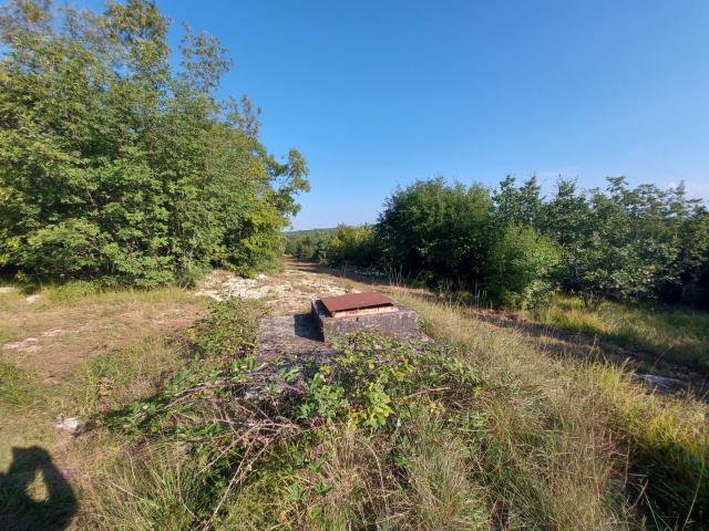 Odlična prilika , prodajemo cijelo brdo s pogledom na more i s malom kamenom kućicom u blizini Rovin