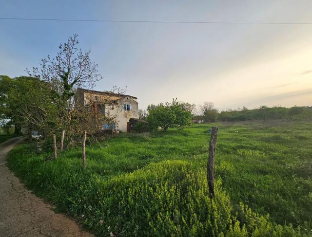 Šarmantna istarska kamena kuća  s otvorenim pogledom i velikim terenom