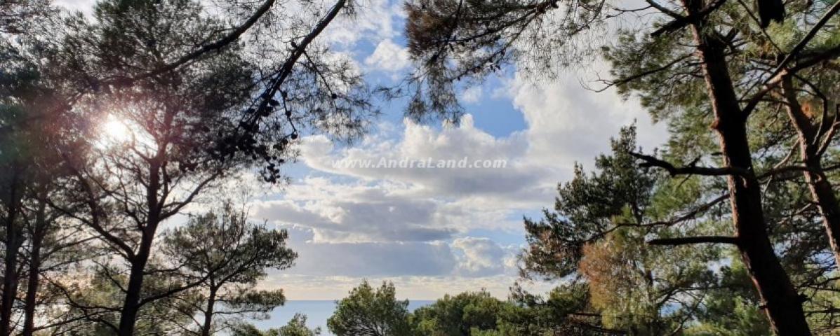 PLOT WITH PANORAMIC VIEW OF THE CITY AND THE SEA, BAR