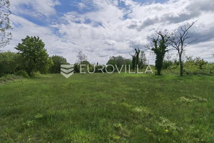 Višnjan, građevinsko zemljište za investiciju, 12000 m2