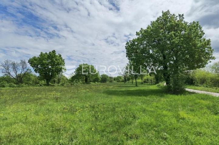 Višnjan, građevinsko zemljište za investiciju, 12000 m2