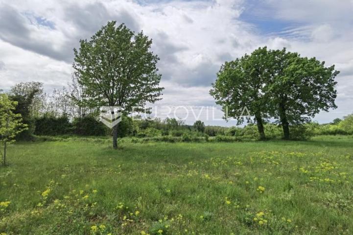 Višnjan, građevinsko zemljište za investiciju, 12000 m2