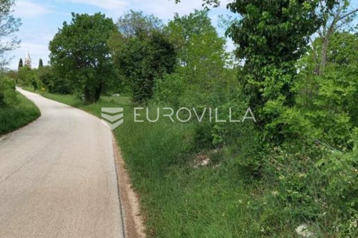 Višnjan, građevinsko zemljište za investiciju, 12000 m2