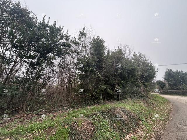 Istra , Materada , poljoprivredna parcela , šuma , vinograd 25.264m2