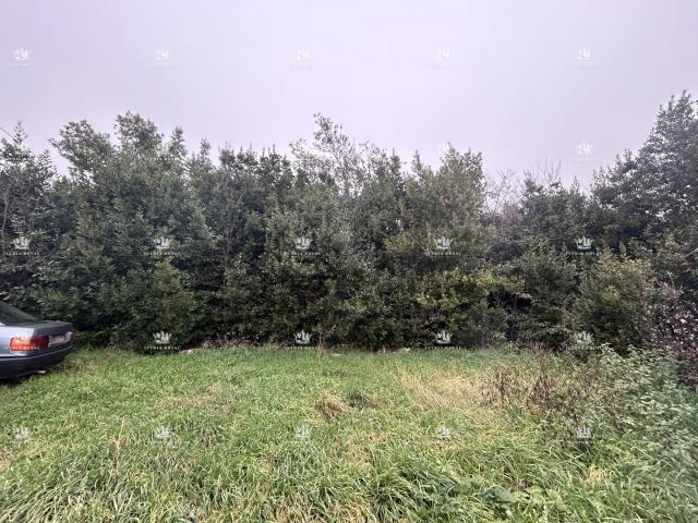Istra , Materada , poljoprivredna parcela , šuma , vinograd 25.264m2