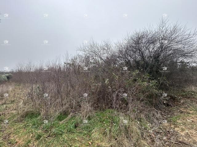 Istra , Materada , poljoprivredna parcela , šuma , vinograd 25.264m2