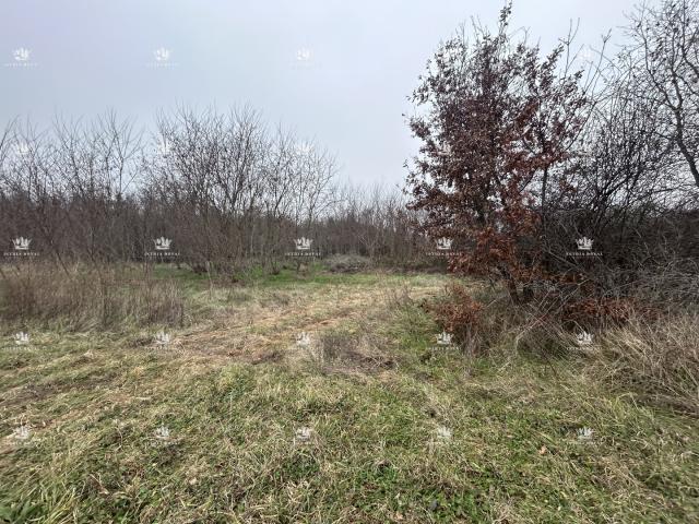Istra , Materada , poljoprivredna parcela , šuma , vinograd 25.264m2