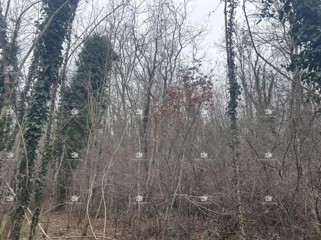 Istra , Materada , poljoprivredna parcela , šuma , vinograd 25.264m2