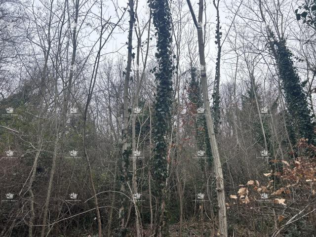 Istra , Materada , poljoprivredna parcela , šuma , vinograd 25.264m2