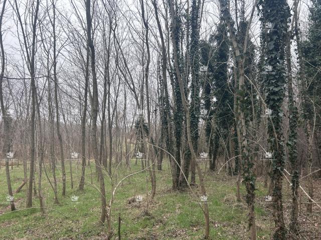 Istra , Materada , poljoprivredna parcela , šuma , vinograd 25.264m2