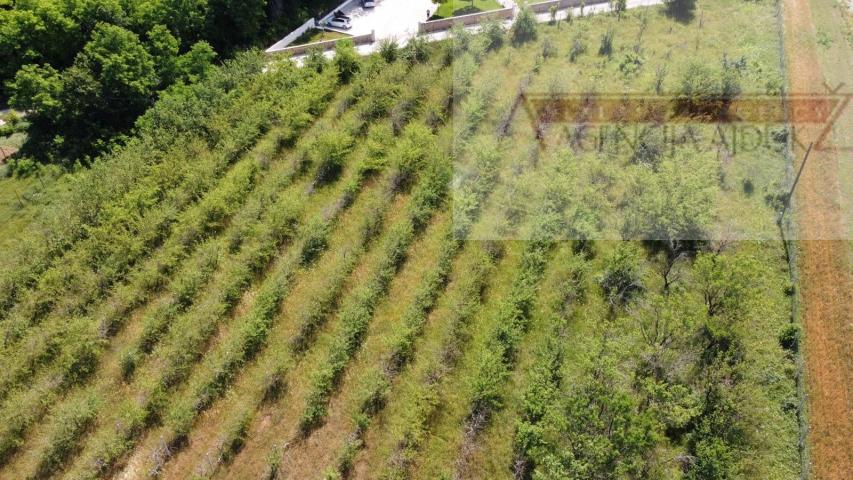 Imotski građevinsko zemljište 7000 m2 - akcija