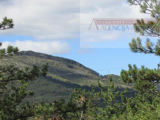 Imotski Grubine 4553 m2 građevinsko zemljište - intima!
