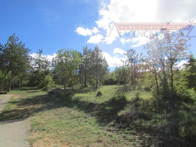 Imotski Grubine 4553 m2 građevinsko zemljište - intima!