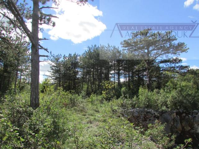 Imotski Grubine 4553 m2 građevinsko zemljište - intima!