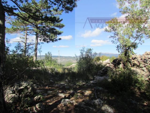 Imotski Grubine 4553 m2 građevinsko zemljište - intima!