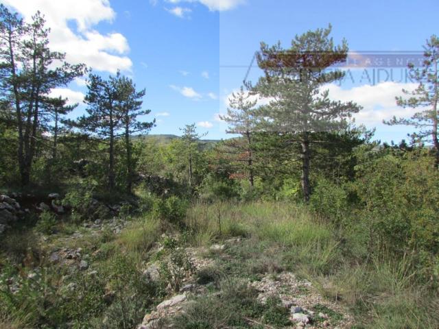 Imotski Grubine 4553 m2 građevinsko zemljište - intima!
