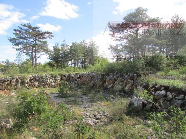 Imotski Grubine 4553 m2 građevinsko zemljište - intima!