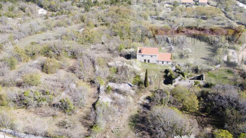 Imotski Lovreć četiri kamene kuće i velika okućnica 13000 m2