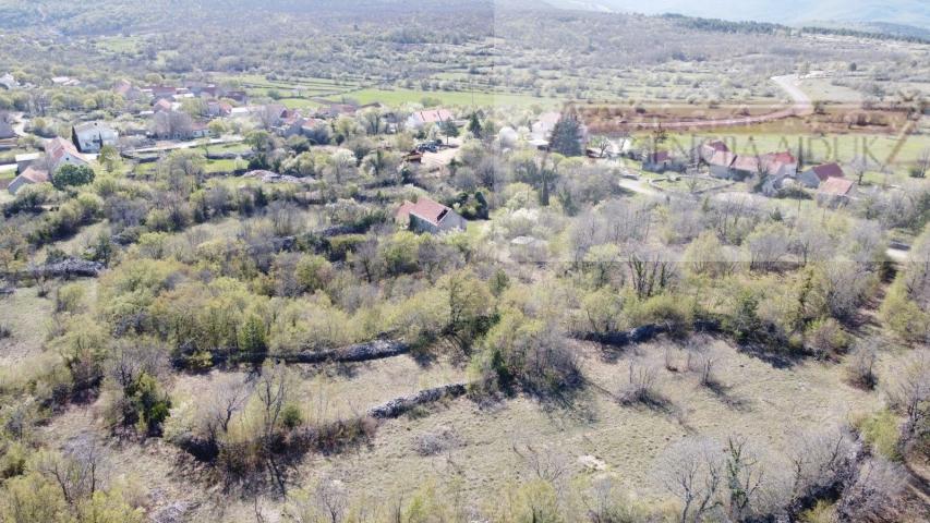 Imotski Lovreć četiri kamene kuće i velika okućnica 13000 m2