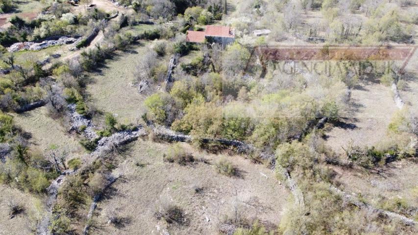 Imotski Lovreć četiri kamene kuće i velika okućnica 13000 m2