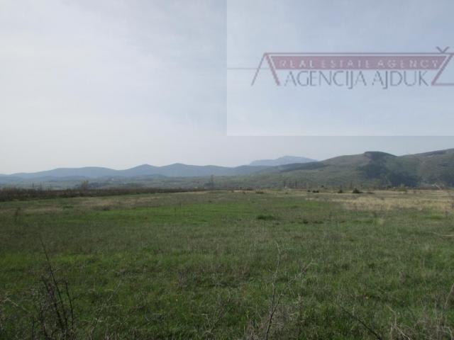 Imotski Postranje 18000 m2 poljoprivredno!